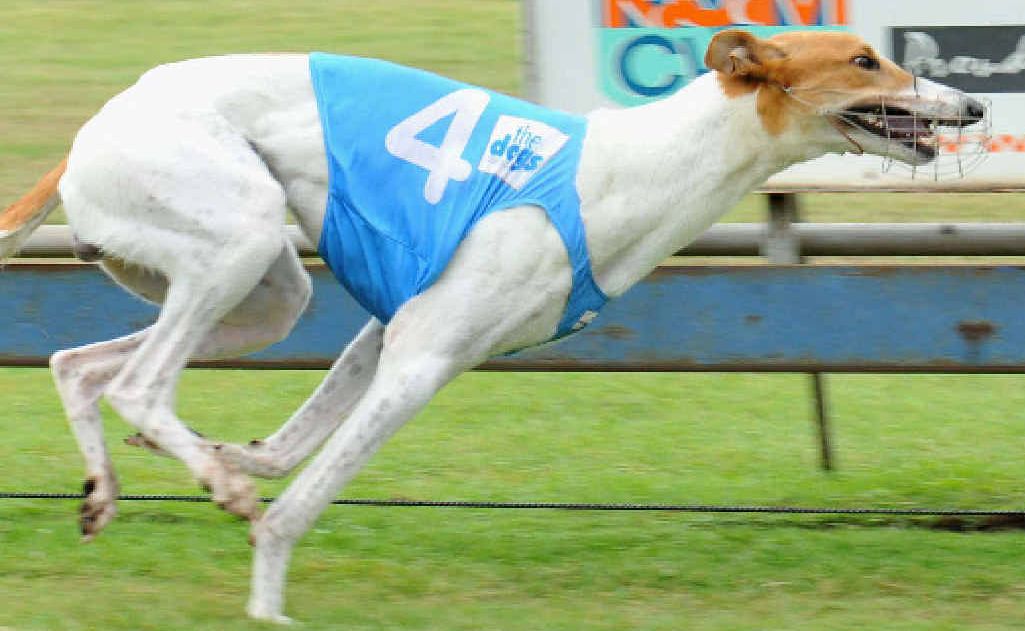 Promo Jo had a win for owner and trainer Chris Schaefer. Promo Jo had a win for owner and trainer Chris Schaefer.